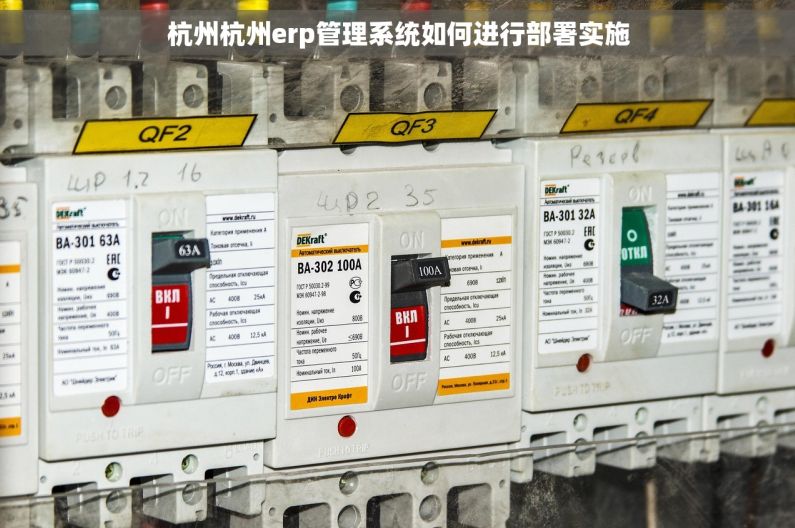 杭州杭州erp管理系统如何进行部署实施