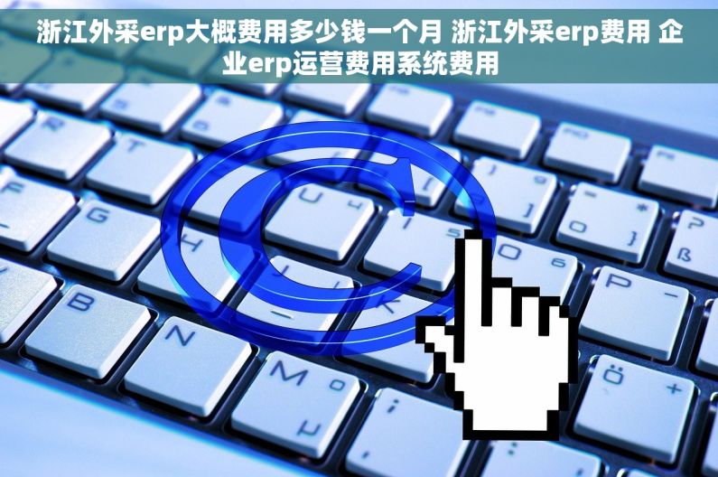 浙江外采erp大概费用多少钱一个月 浙江外采erp费用 企业erp运营费用系统费用 浙江外采erp大概费用多少钱一个月 浙江外采erp费用 企业erp运营费用系统费用