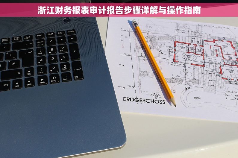 浙江财务报表审计报告步骤详解与操作指南