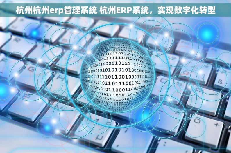 杭州杭州erp管理系统 杭州ERP系统，实现数字化转型