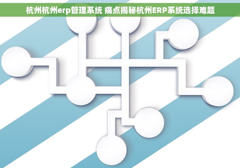 杭州杭州erp管理系统 痛点揭秘杭州ERP系统选择难题
