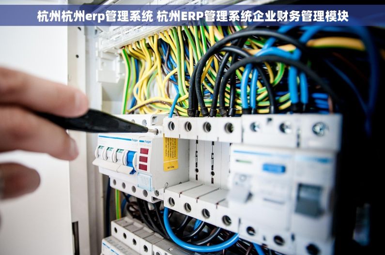 杭州杭州erp管理系统 杭州ERP管理系统企业财务管理模块