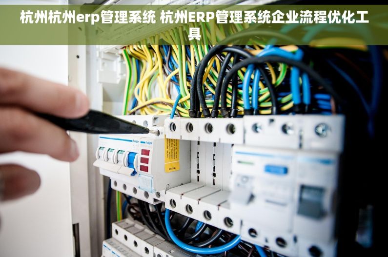 杭州杭州erp管理系统 杭州ERP管理系统企业流程优化工具 杭州杭州erp管理系统 杭州ERP管理系统企业流程优化工具