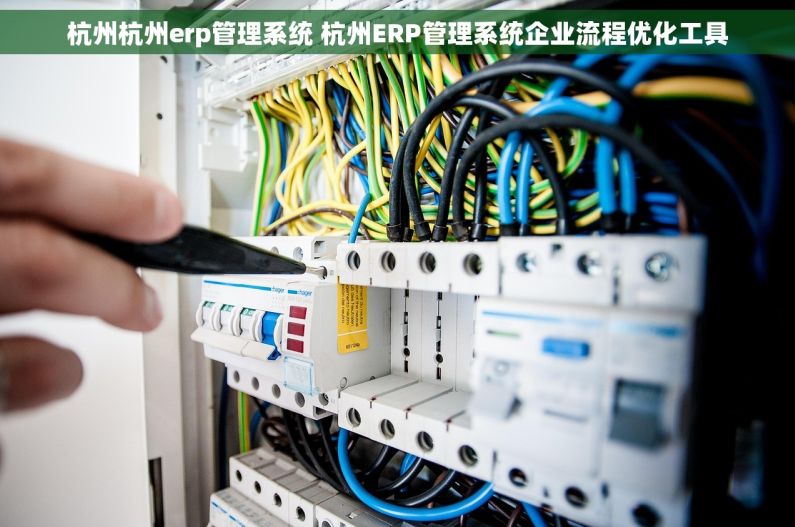 杭州杭州erp管理系统 杭州ERP管理系统企业流程优化工具