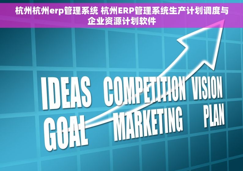 杭州杭州erp管理系统 杭州ERP管理系统生产计划调度与企业资源计划软件