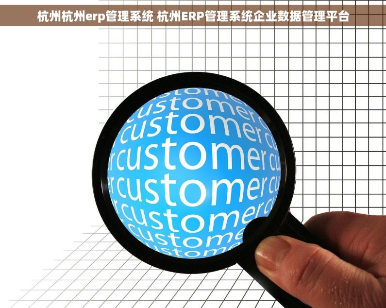 杭州杭州erp管理系统 杭州ERP管理系统企业数据管理平台