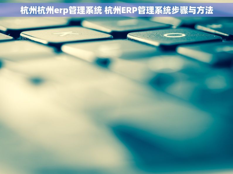 杭州杭州erp管理系统 杭州ERP管理系统步骤与方法 杭州杭州erp管理系统 杭州ERP管理系统步骤与方法