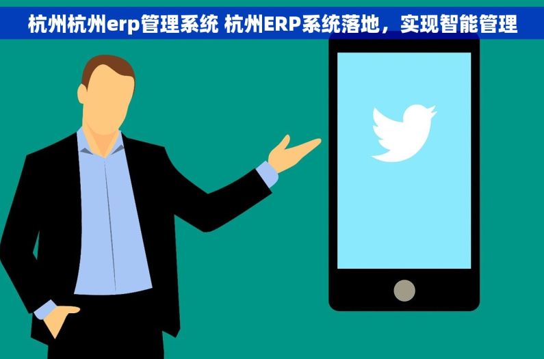 杭州杭州erp管理系统 杭州ERP系统落地，实现智能管理