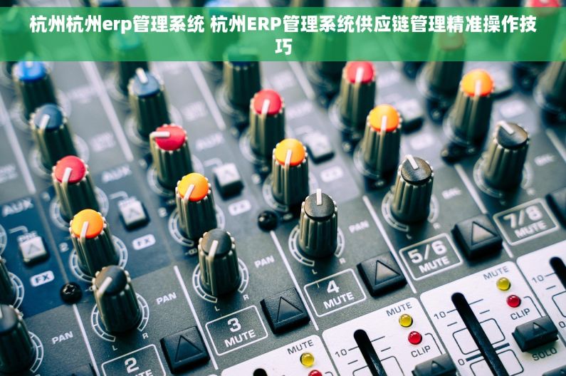 杭州杭州erp管理系统 杭州ERP管理系统供应链管理精准操作技巧