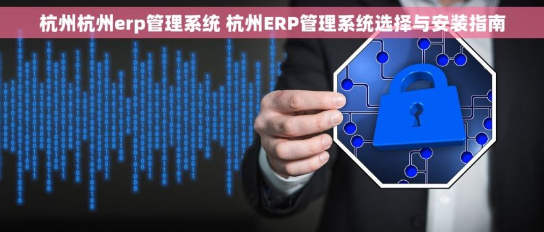 杭州杭州erp管理系统 杭州ERP管理系统选择与安装指南