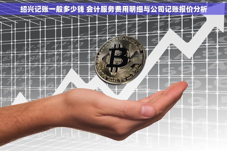 绍兴记账一般多少钱 会计服务费用明细与公司记账报价分析