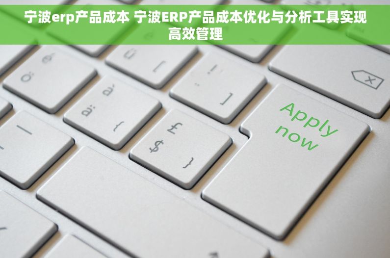 宁波erp产品成本 宁波ERP产品成本优化与分析工具实现高效管理
