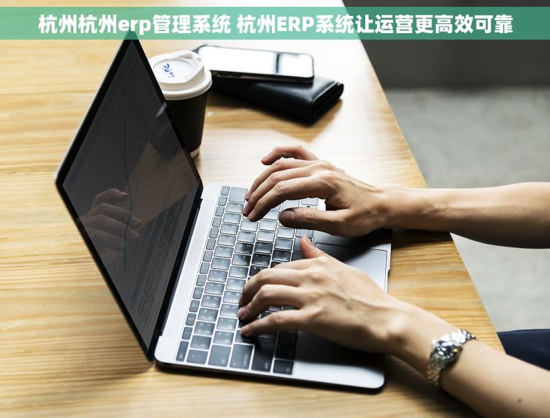 杭州杭州erp管理系统 杭州ERP系统让运营更高效可靠
