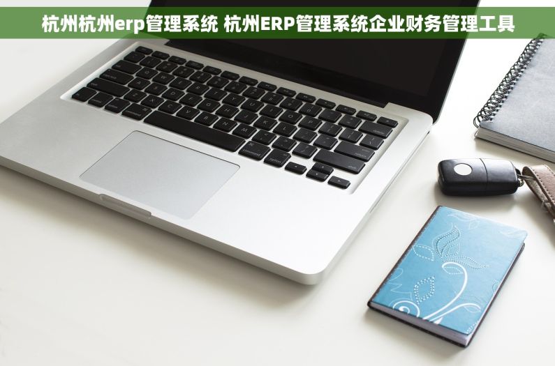 杭州杭州erp管理系统 杭州ERP管理系统企业财务管理工具