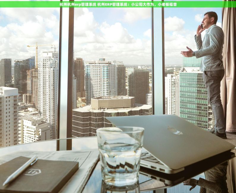 杭州杭州erp管理系统 杭州ERP管理系统：小公司大作为，小老板福音