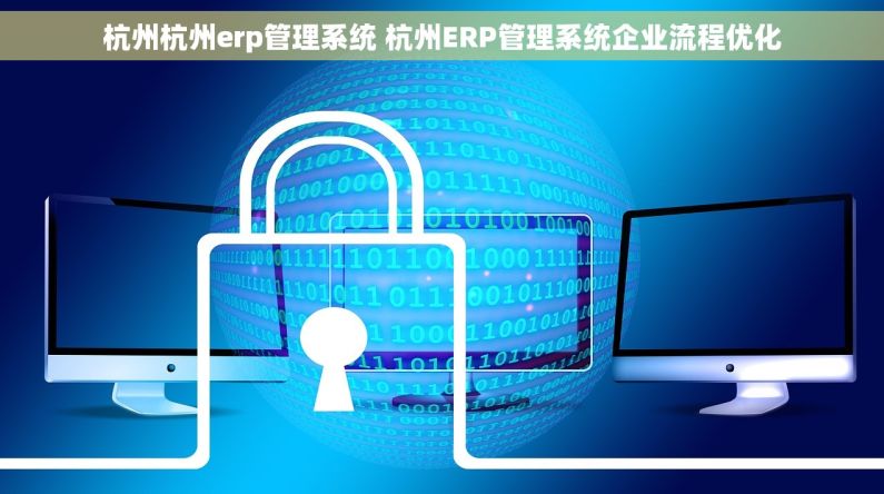 杭州杭州erp管理系统 杭州ERP管理系统企业流程优化