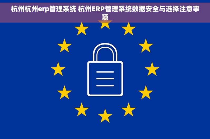 杭州杭州erp管理系统 杭州ERP管理系统数据安全与选择注意事项