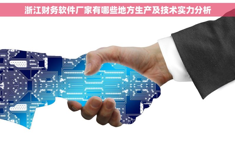 浙江财务软件厂家有哪些地方生产及技术实力分析