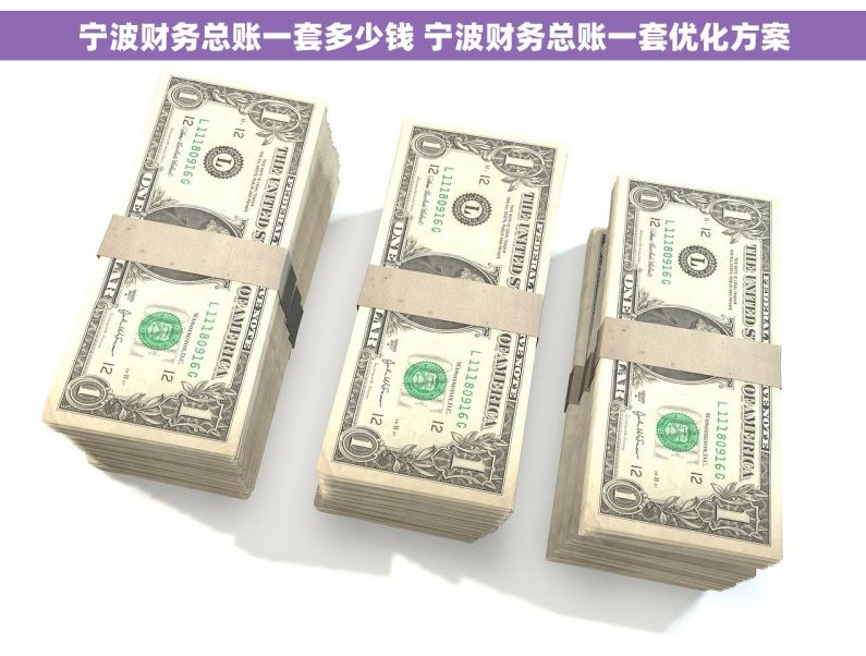 宁波财务总账一套多少钱 宁波财务总账一套优化方案