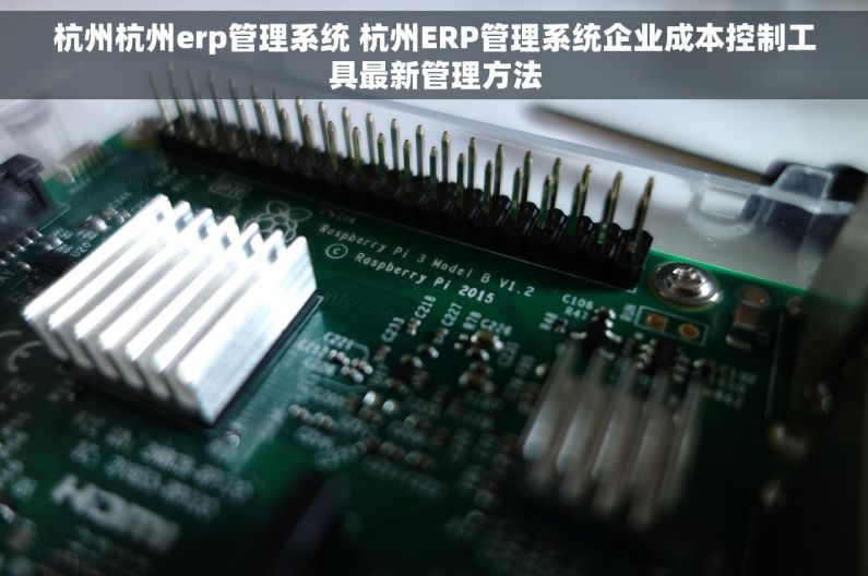 杭州杭州erp管理系统 杭州ERP管理系统企业成本控制工具最新管理方法