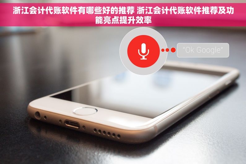浙江会计代账软件有哪些好的推荐 浙江会计代账软件推荐及功能亮点提升效率 浙江会计代账软件有哪些好的推荐 浙江会计代账软件推荐及功能亮点提升效率
