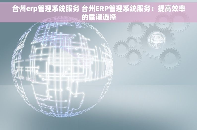 台州erp管理系统服务 台州ERP管理系统服务：提高效率的靠谱选择