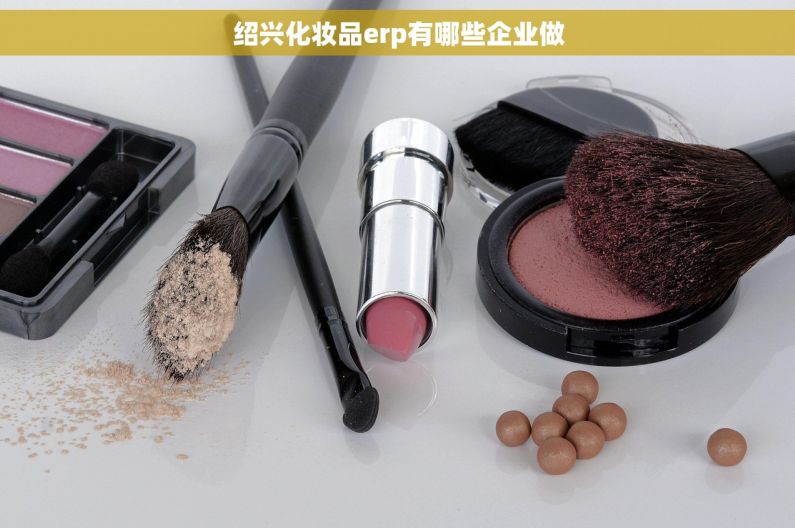 绍兴化妆品erp有哪些企业做