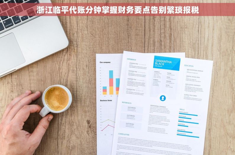 浙江临平代账分钟掌握财务要点告别繁琐报税