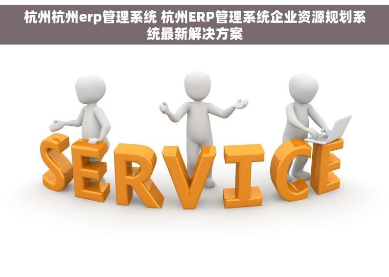 杭州杭州erp管理系统 杭州ERP管理系统企业资源规划系统最新解决方案