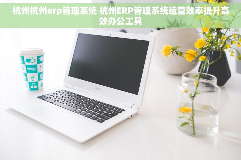 杭州杭州erp管理系统 杭州ERP管理系统运营效率提升高效办公工具
