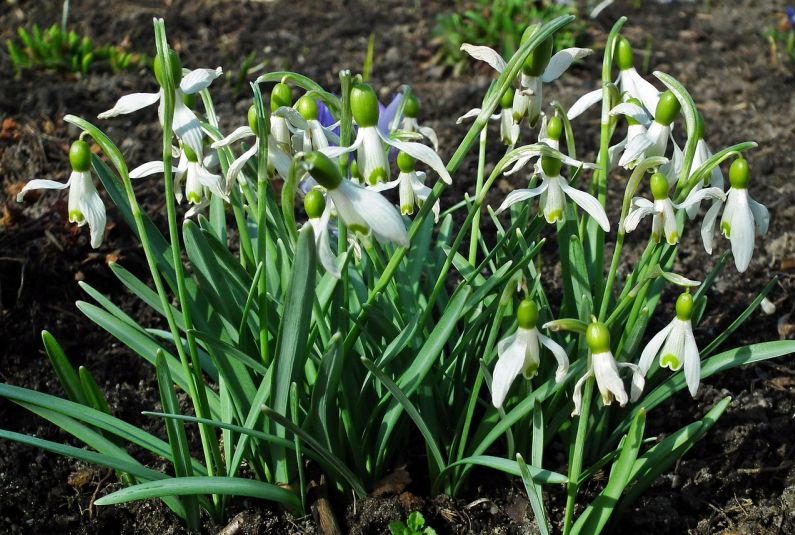 浙江财税收支统计平台操作教程与最新动态