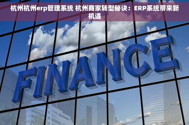 杭州杭州erp管理系统 杭州商家转型秘诀：ERP系统带来新机遇