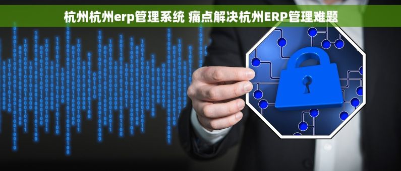 杭州杭州erp管理系统 痛点解决杭州ERP管理难题
