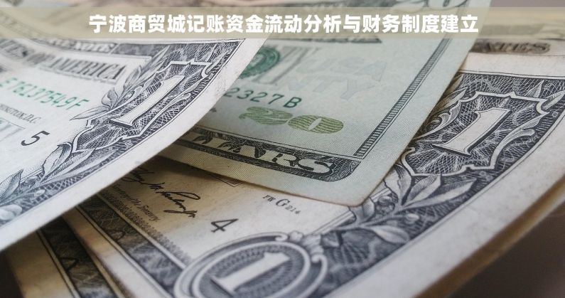 宁波商贸城记账资金流动分析与财务制度建立