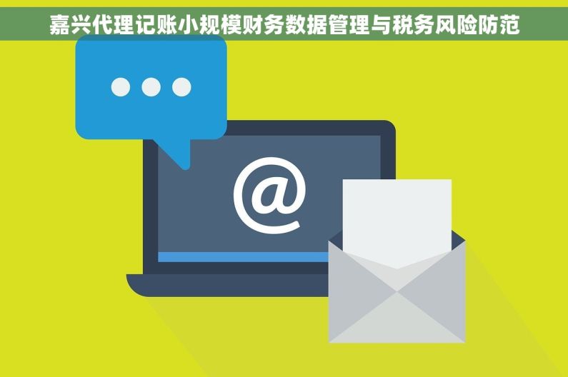嘉兴代理记账小规模财务数据管理与税务风险防范