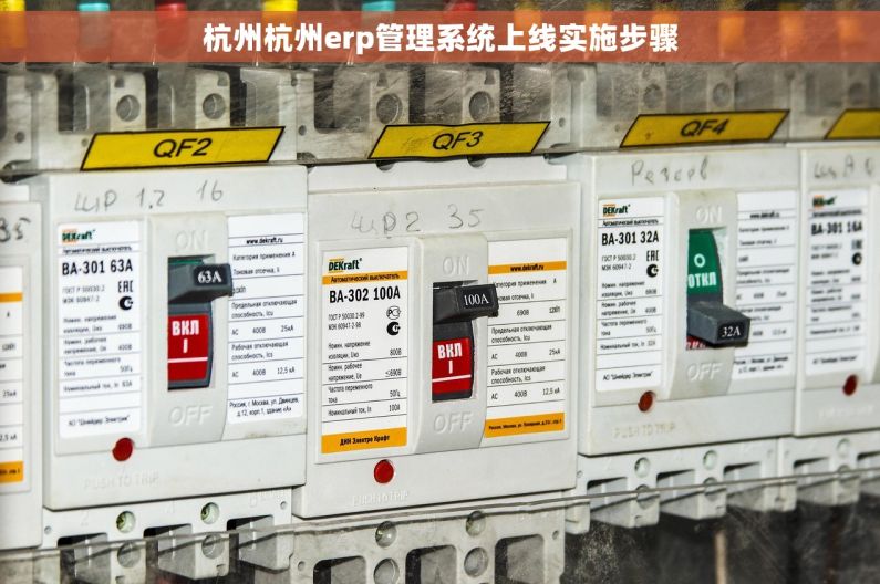 杭州杭州erp管理系统上线实施步骤
