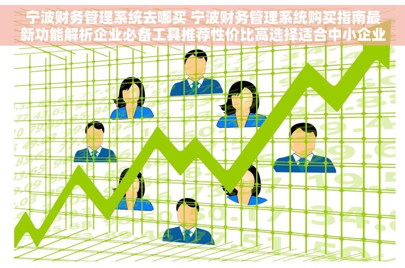 宁波财务管理系统去哪买 宁波财务管理系统购买指南最新功能解析企业必备工具推荐性价比高选择适合中小企业
