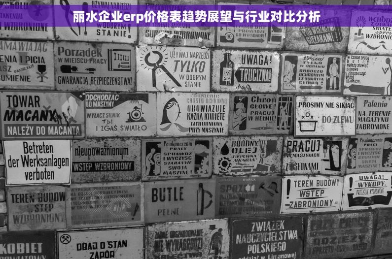 丽水企业erp价格表趋势展望与行业对比分析