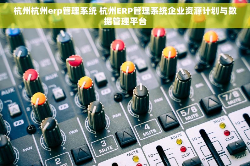 杭州杭州erp管理系统 杭州ERP管理系统企业资源计划与数据管理平台
