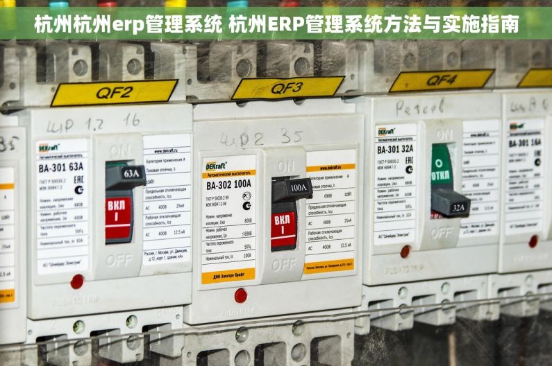 杭州杭州erp管理系统 杭州ERP管理系统方法与实施指南