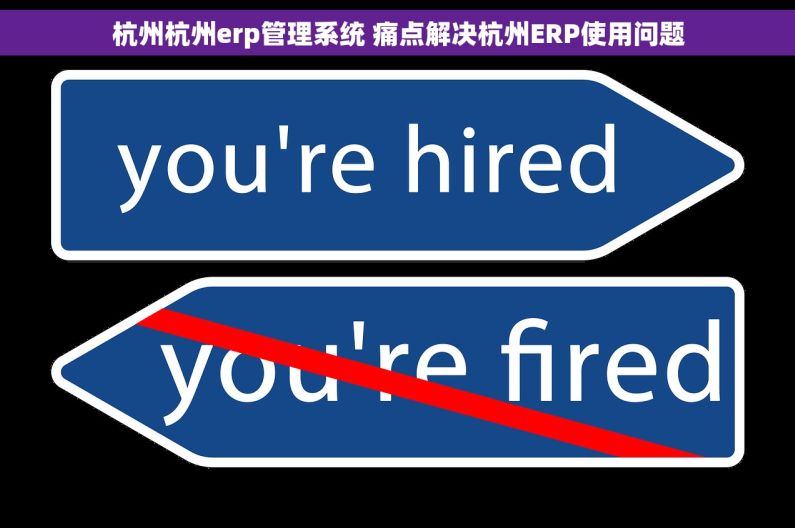 杭州杭州erp管理系统 痛点解决杭州ERP使用问题