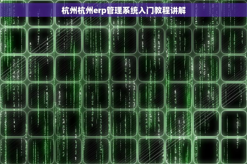 杭州杭州erp管理系统入门教程讲解
